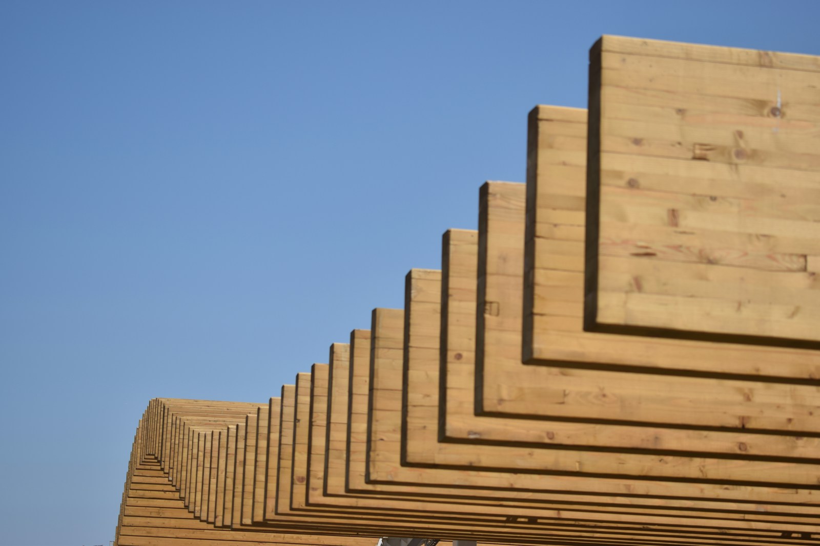 wood plank lot